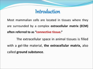Introduction
Most mammalian cells are located in tissues where they
are surrounded by a complex extracellular matrix (ECM)
often referred to as “connective tissue.”
The extracellular space in animal tissues is filled
with a gel-like material, the extracellular matrix, also
called ground substance.
 
