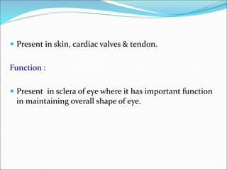  Present in skin, cardiac valves & tendon.
Function :
 Present in sclera of eye where it has important function
in maintaining overall shape of eye.
 