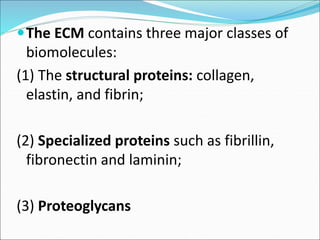 The ECM contains three major classes of
biomolecules:
(1) The structural proteins: collagen,
elastin, and fibrin;
(2) Specialized proteins such as fibrillin,
fibronectin and laminin;
(3) Proteoglycans
 
