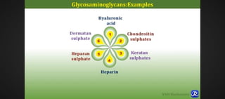 GAGs EXAMPLES AND EXPLANATIONS.- Dr Adebisi .pdf