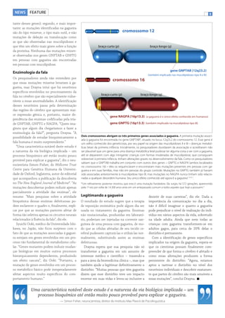 NEWS FEATURE

3

tante desses genes); segundo, e mais importante: as mutações identificadas na gagueira
são do tipo missense, o tipo mais sutil, e não
mutações de deleção ou translocação como
as que são observadas nas mucolipidoses e
que têm um efeito mais grave sobre a função
da proteína. Nenhuma das mutações missense observadas nos genes GNPTAB e GNPTG
em pessoas com gagueira são encontradas
em pessoas com mucolipidose.

cromossomo 12

braço curto (p)

braço longo (q)

gene GNPTAB (12q23.2)

Enzimologia da fala

(também implicado nas mucolipidoses tipo II e III)

Os pesquisadores ainda não entendem por
que essas mutações missense levariam à gagueira, mas Drayna intui que há neurônios
específicos envolvidos no processamento da
fala no cérebro que são especialmente vulneráveis a essas anormalidades. A identificação
desses neurônios passa pela determinação
das regiões do cérebro que apresentam maior expressão gênica e, portanto, maior dependência das enzimas codificadas pela tríade GNPTAB, GNPTG e NAGPA. “Quem imaginou que algum dia chegaríamos a fazer a
enzimologia da fala?”, pergunta Drayna. “A
possibilidade de estudar bioquimicamente a
fala humana é muito surpreendente.”
“Uma característica notável deste estudo é
a natureza da via biológica implicada – um
processo bioquímico até então muito pouco
provável para explicar a gagueira”, diz o neurocientista Simon Fisher, do Wellcome Trust
Centre para Genética Humana da Universidade de Oxford, Inglaterra, autor do editorial
que acompanhou a publicação da descoberta
no The New England Journal of Medicine8. “As
mutações descobertas podem reduzir apenas
parcialmente a atividade das enzimas”, ele
resume. “Mais pesquisas sobre a atividade
bioquímica dessas enzimas defeituosas podem esclarecer o quadro e, finalmente, explicar por que as mutações parecem afetar de
forma tão seletiva apenas os circuitos neurais
relacionados à fluência da fala”, diz ele.
Syuichi Ooki, médico da Universidade Ishikawa, no Japão, não ficou surpreso com o
fato de que as mutações associadas à gagueira estejam em genes envolvidos em um processo tão fundamental do metabolismo celular. “Genes mutantes podem induzir mudanças biológicas em muitos outros processos
hierarquicamente dependentes, produzindo
um efeito cascata”, diz Ooki. “Portanto, a
mutação de genes envolvidos em um processo metabólico básico pode inesperadamente
afetar aspectos muito específicos do comportamento humano.”

cromossomo 16
braço curto (p)

braço longo (q)

gene NAGPA (16p13.3) (a gagueira é o único efeito conhecido em humanos)
gene GNPTG (16p13.3) (também implicado na mucolipidose tipo III)

Dois cromossomos abrigam os três primeiros genes associados à gagueira. A primeira mutação associada à gagueira foi encontrada no gene GNPTAB*, situado no locus 12q23.2 do cromossomo 12. Esse gene é
um velho conhecido dos geneticistas, por seu papel na origem das mucolipidoses II e III – doenças metabólicas letais da primeira infância. Inicialmente, os pesquisadores duvidaram da associação e acreditaram não
ser plausível que um gene para uma doença metabólica letal pudesse ter alguma coisa a ver com a gagueira,
até se depararem com algo intrigante: crianças com formas moderadas de mucolipidose, que conseguiam
sobreviver à primeira infância, tinham alterações graves no desenvolvimento da fala. Como os pesquisadores
sabiam que o GNPTAB trabalha em conjunto com outros dois genes – GNPTG e NAGPA (ambos localizados
no cromossomo 16) – eles os sequenciaram e encontraram mais mutações presentes em pessoas com gagueira e em suas famílias, mas não em pessoas do grupo controle. Mutações no GNPTG também já haviam
sido associadas anteriormente à mucolipidose tipo III, mas mutações no NAGPA nunca tinham sido relacionadas a qualquer desordem humana. Seu único efeito conhecido até agora é a gagueira1, 5, 6, 7.
*Um refinamento posterior mostrou que esta é uma mutação fundadora. Ela surgiu há 572 gerações, aparecendo
pela 1a vez por volta de 14.300 anos atrás em um antepassado comum a todos aqueles que hoje a possuem.4

Legitimando a gagueira
O resultado do estudo sugere que a terapia
de reposição enzimática pode algum dia ser
usada no tratamento da gagueira. Enzimas
não mutacionadas, produzidas em laboratório, poderiam ser injetadas na corrente sanguínea de uma pessoa com gagueira, de modo que as células afetadas de seu tecido cerebral pudessem capturá-las e utilizá-las normalmente, substituindo assim as enzimas
defeituosas.
Drayna espera que sua pesquisa não só
transforme a gagueira em um assunto de
interesse médico e científico – trazendo-a
para a área da biomedicina clínica –, mas que
também ajude a legitimar definitivamente o
distúrbio. “Muitas pessoas que têm gagueira
dizem que esse distúrbio teve um impacto
enorme em suas vidas e levou-as inclusive a

desistir de suas carreiras”, diz ele. Dada a
importância da comunicação no dia a dia,
não é difícil imaginar o quanto a gagueira
pode prejudicar o nível de realização do indivíduo em vários aspectos da vida, sobretudo
na idade adulta. Ainda que nem todas as
crianças com gagueira transformem-se em
adultos gagos, para cerca de 20% delas o
distúrbio é permanente.
Com a identificação de genes específicos
implicados na origem da gagueira, espera-se
que os cientistas possam finalmente compreender de que forma o cérebro é afetado e
como essas alterações produzem a forma
persistente do distúrbio. “Agora, estamos
aptos a rastrear o distúrbio no nível dos
neurônios individuais e descobrir exatamente que partes do cérebro são mais sensíveis a
essas mutações”, conclui Drayna.

Uma característica notável deste estudo é a natureza da via biológica implicada – um
processo bioquímico até então muito pouco provável para explicar a gagueira.
— Simon Fisher, neurocientista, diretor do Instituto Max Planck de Psicolinguística

 
