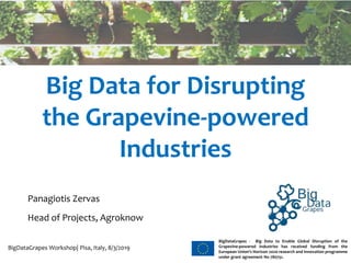 WWW.BIGDATAGRAPES.EU
BigDataGrapes - Big Data to Enable Global Disruption of the
Grapevine-powered Industries has received funding from the
European Union’s Horizon 2020 research and innovation programme
under grant agreement No 780751.
Big Data for Disrupting
the Grapevine-powered
Industries
BigDataGrapes Workshop| Pisa, Italy, 8/3/2019
Panagiotis Zervas
Head of Projects, Agroknow
 