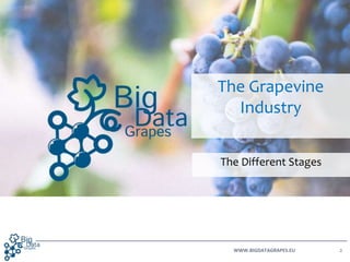 The BigDataGrapes vision enabling global disruption of the grapevine-powered industries Slide 2