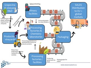 WWW.BIGDATAGRAPES.EU
Grapevine
& vineyard
R&D
SALES
Distribution
to EU +
global
markets
Processing
factories &
Chemistry
l...