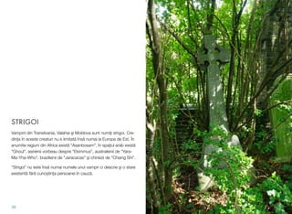 STRIGOI
Vampirii din Transilvania, Valahia şi Moldova sunt numiţi strigoi. Cre-
dinţa în aceste creaturi nu e limitată însă numai la Europa de Est. În
anumite regiuni din Africa există "Asanbosam", în spațiul arab există
"Ghoul", asirienii vorbeau despre "Ekimmus", australienii de "Yara-
Ma-Yha-Who", brazilienii de "Jaracacas" şi chinezii de "Chiang Shi".
”Strigoi” nu este însă numai numele unui vampir ci descrie şi o stare
existentă fără cunoștința persoanei în cauză.
38
 