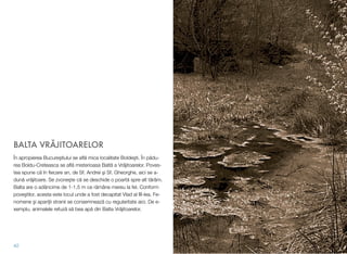 BALTA VR"JITOARELOR
În apropierea Bucure#tiului se aﬂ! mica localitate Bolde#ti. În p!du-
rea Boldu-Creteasca se aﬂ! misterioasa Balt! a Vr!jitoarelor. Poves-
tea spune c! în ﬁecare an, de Sf. Andrei #i Sf. Gheorghe, aici se a-
dun! vr!jitoare. Se zvone#te c! se deschide o poart! spre alt t!râm.
Balta are o adâncime de 1-1,5 m ce r!mâne mereu la fel. Conform
pove#tilor, acesta este locul unde a fost decapitat Vlad al III-lea. Fe-
nomene #i apari"ii stranii se consemneaz! cu regularitate aici. De e-
xemplu, animalele refuz! s! bea ap! din Balta Vr!jitoarelor.
42
 