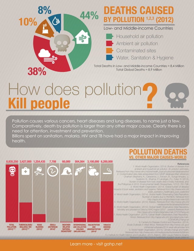Pollution The Silent Killer of Millions PDF Lung and Respiratory