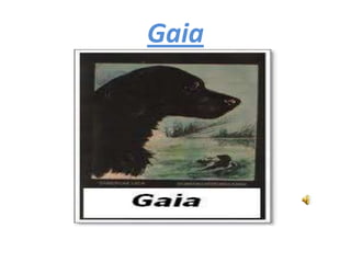 Gaia 