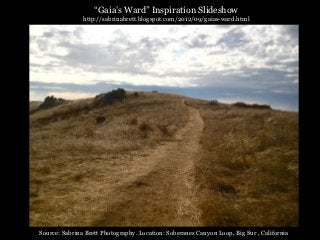 “Gaia’s Ward” Inspiration Slideshow
               http://sabrinabrett.blogspot.com/2012/09/gaias-ward.html




Source: Sabrina Brett Photography. Location: Soberanes Canyon Loop, Big Sur , California
 