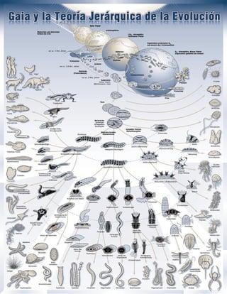 Gaia y la teoría jerárquica de la evolución | PDF