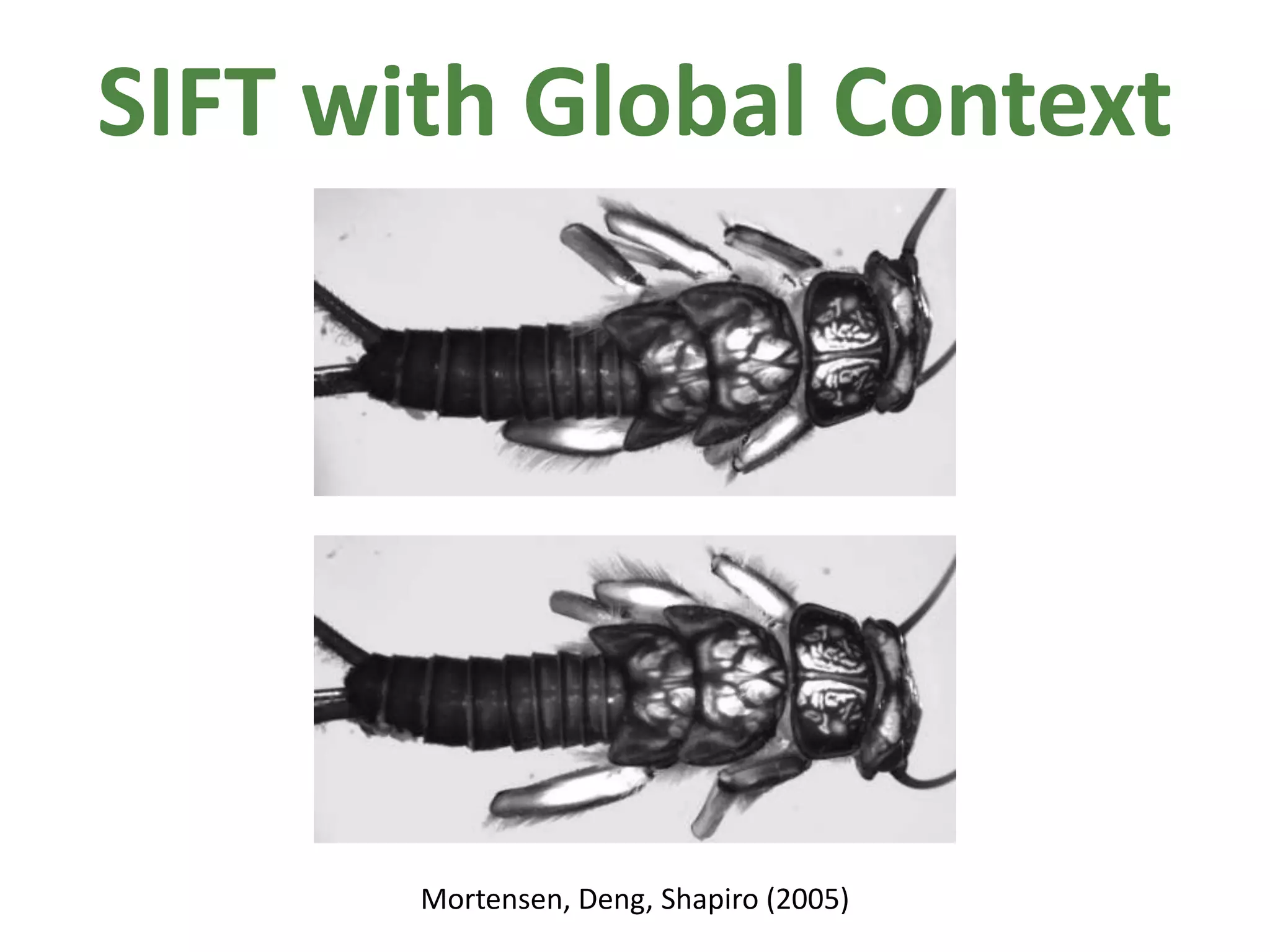 SIFT with Global ContextMortensen, Deng, Shapiro (2005)