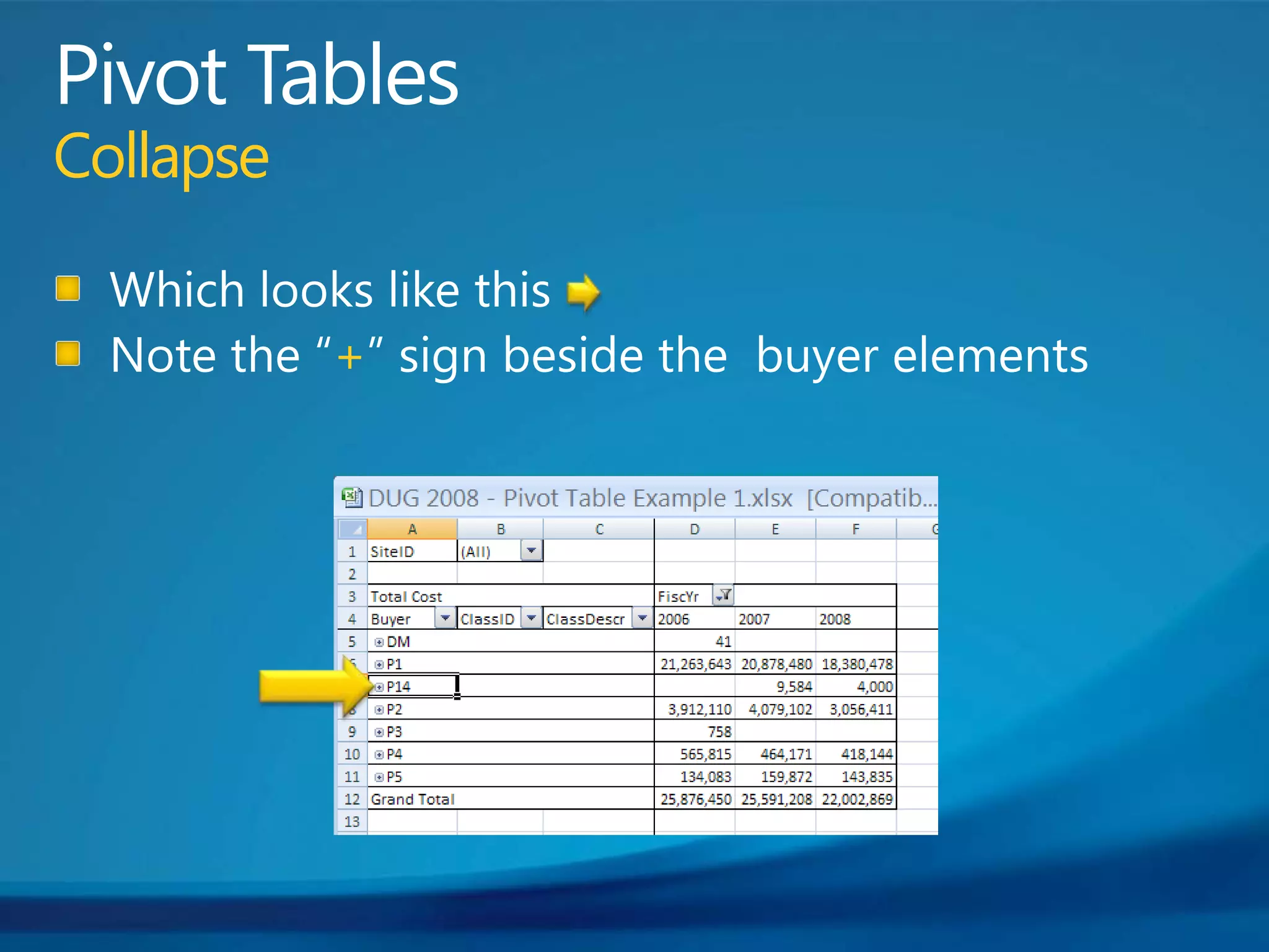 Pivot TablesCollapseWhich looks like thisNote the “+” sign beside the  buyer elements