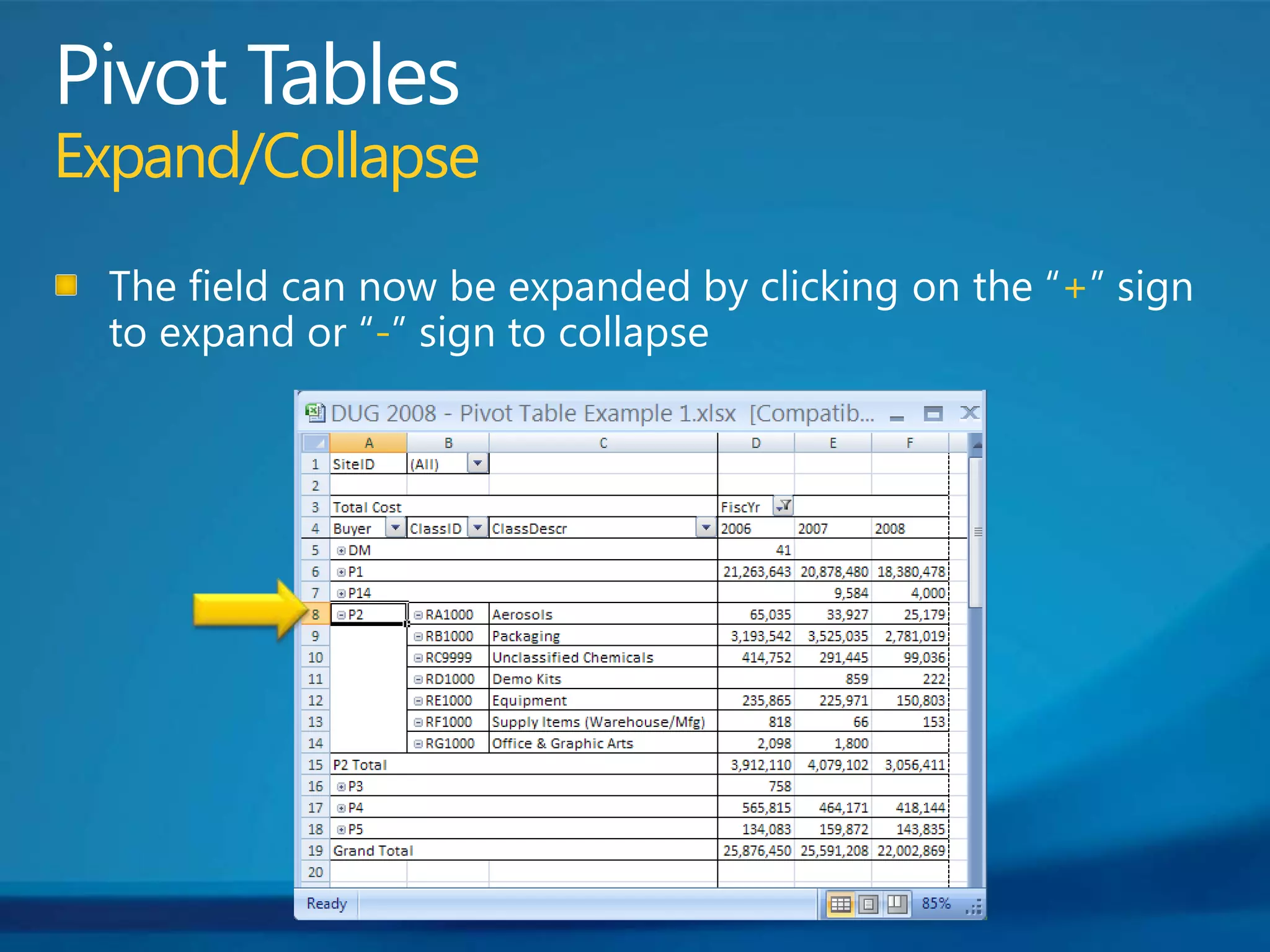 Pivot TablesExpand/CollapseThe field can now be expanded by clicking on the “+” sign to expand or “-” sign to collapse
