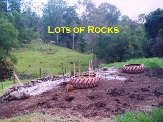 Lots of Rocks 