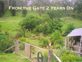 From the Gate 2 Years On 