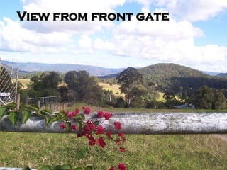 View from front gate 