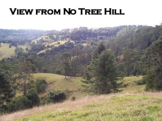 View from No Tree Hill 