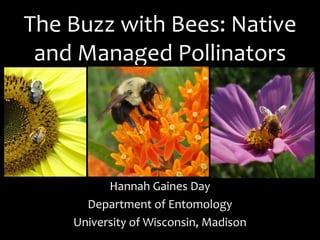 The Buzz with Bees: Native
and Managed Pollinators
Hannah Gaines Day
Department of Entomology
University of Wisconsin, Madison
 