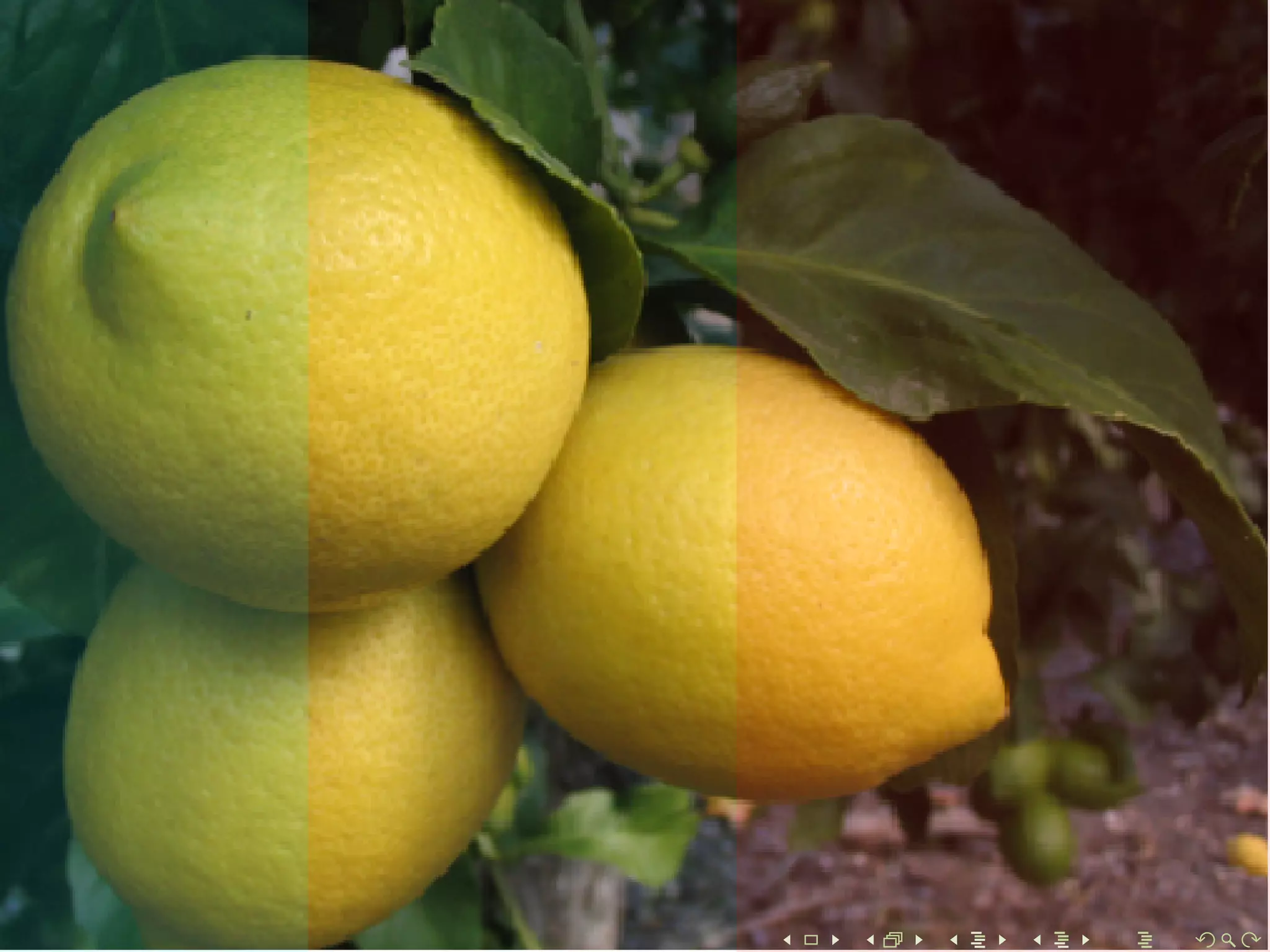 Gaining Colour Stability in Live Image Capturing