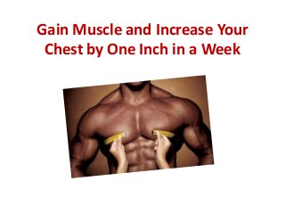 Gain Muscle and Increase Your
 Chest by One Inch in a Week
 