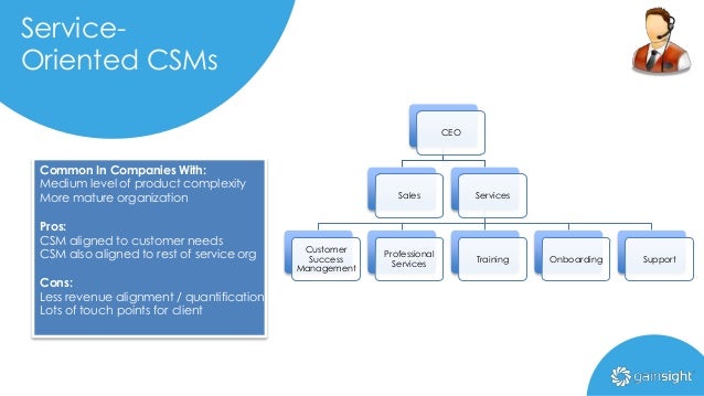 Professional Services Organization Chart