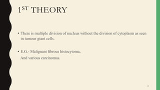 1ST THEORY
• There is multiple division of nucleus without the division of cytoplasm as seen
in tumour giant cells.
• E.G.- Malignant fibrous histocytoma,
And various carcinomas.
14
 