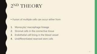 2ND THEORY
• Fusion of multiple cells can occur either from
1. Monocyte/ macrophage lineage
2. Stromal cells in the connective tissue
3. Endothelial cell lining in the blood vessel
4. Undifferentiated reserved stem cells
15
 