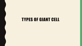 TYPES OF GIANT CELL
 