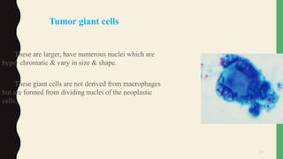 24
Tumor giant cells
These are larger, have numerous nuclei which are
hyper chromatic & vary in size & shape.
These giant cells are not derived from macrophages
but are formed from dividing nuclei of the neoplastic
cells.
 