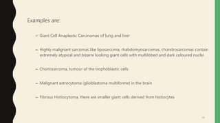 25
Examples are:
– Giant Cell Anaplastic Carcinomas of lung and liver
– Highly malignant sarcomas like liposarcoma, rhabdomyosarcomas, chondrosarcomas contain
extremely atypical and bizarre looking giant cells with multilobed and dark coloured nuclei
– Choriosarcoma, tumour of the trophoblastic cells
– Malignant astrocytoma (glioblastoma multiforme) in the brain
– Fibrous Histiocytoma, there are smaller giant cells derived from histiocytes
 