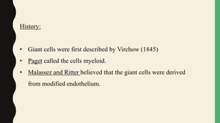 History:
• Giant cells were first described by Virchow (1845)
• Paget called the cells myeloid.
• Malassez and Ritter believed that the giant cells were derived
from modified endothelium.
 
