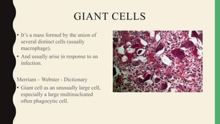 GIANT CELLS Slide 3