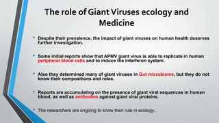 The role of GiantViruses ecology and
Medicine
• Despite their prevalence, the impact of giant viruses on human health deserves
further investigation.
• Some initial reports show that APMV giant virus is able to replicate in human
peripheral blood cells and to induce the interferon system.
• Also they determined many of giant viruses in Gut microbiome, but they do not
know their compositions and roles.
• Reports are accumulating on the presence of giant viral sequences in human
blood, as well as antibodies against giant viral proteins.
• The researchers are ongoing to know their rule in ecology..
 