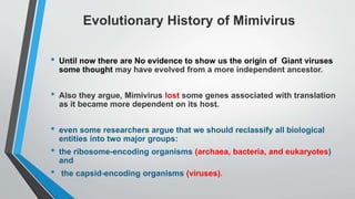 Evolutionary History of Mimivirus
• Until now there are No evidence to show us the origin of Giant viruses
some thought may have evolved from a more independent ancestor.
• Also they argue, Mimivirus lost some genes associated with translation
as it became more dependent on its host.
• even some researchers argue that we should reclassify all biological
entities into two major groups:
• the ribosome-encoding organisms (archaea, bacteria, and eukaryotes)
and
• the capsid-encoding organisms (viruses).
 