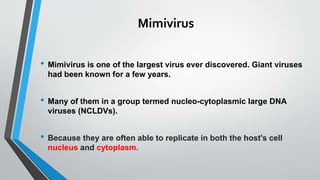 Mimivirus
• Mimivirus is one of the largest virus ever discovered. Giant viruses
had been known for a few years.
• Many of them in a group termed nucleo-cytoplasmic large DNA
viruses (NCLDVs).
• Because they are often able to replicate in both the host's cell
nucleus and cytoplasm.
 