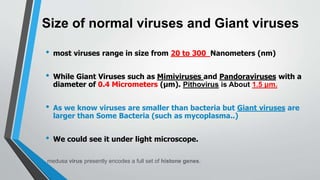 Size of normal viruses and Giant viruses
• most viruses range in size from 20 to 300 Nanometers (nm)
• While Giant Viruses such as Mimiviruses and Pandoraviruses with a
diameter of 0.4 Micrometers (µm). Pithovirus is About 1.5 μm.
• As we know viruses are smaller than bacteria but Giant viruses are
larger than Some Bacteria (such as mycoplasma..)
• We could see it under light microscope.
medusa virus presently encodes a full set of histone genes.
 