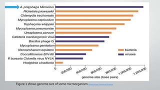 Figure 2 shows genome size of some microorganism.Giant Viruses | American Scientist
 