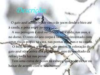  Andreia Rodrigues nº5