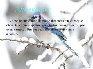   Gabriel Peixoto nº108º.C