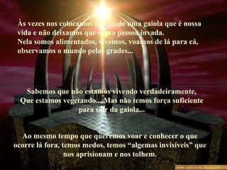 Às vezes nos colocamos dentro de uma gaiola que é nossa vida e não deixamos que outra pessoa invada. Nela somos alimentados, vivemos, voamos de lá para cá,  observamos o mundo pelas grades... Sabemos que não estamos vivendo verdadeiramente, Que estamos vegetando... Mas não temos força suficiente para sair da gaiola... Ao mesmo tempo que queremos voar e conhecer o que ocorre lá fora, temos medos, temos “algemas invisíveis” que nos aprisionam e nos tolhem. 