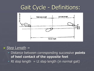 Gait Cycle - Definitions:
► Step Length =
 Distance between corresponding successive points
of heel contact of the opposi...
