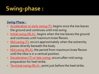 Swing Phase :
 Acceleration or early swing (T): begins once the toe leaves
the ground and continues until mid swing.
 Initial swing (RLA) : begins when the toe leaves the ground
and continues until maximum knee flexion.
 Mid swing (T): occurs approximately when the extremity
passes directly beneath the body.
 Mid swing (RLA): the period from maximum knee flexion
until the tibia is in a vertical position.
 Deceleration (T) or late swing: occurs after mid swing-
preparation for heel strike.
 Terminal swing (RLA) : point just before the heel strike.
 