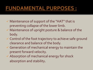  Maintenance of support of the "HAT” that is
preventing collapse of the lower limb.
 Maintenance of upright posture & balance of the
body.
 Control of the foot trajectory to achieve safe ground
clearance and balance of the body.
 Generation of mechanical energy to maintain the
present forward velocity.
 Absorption of mechanical energy for shock
absorption and stability.
 