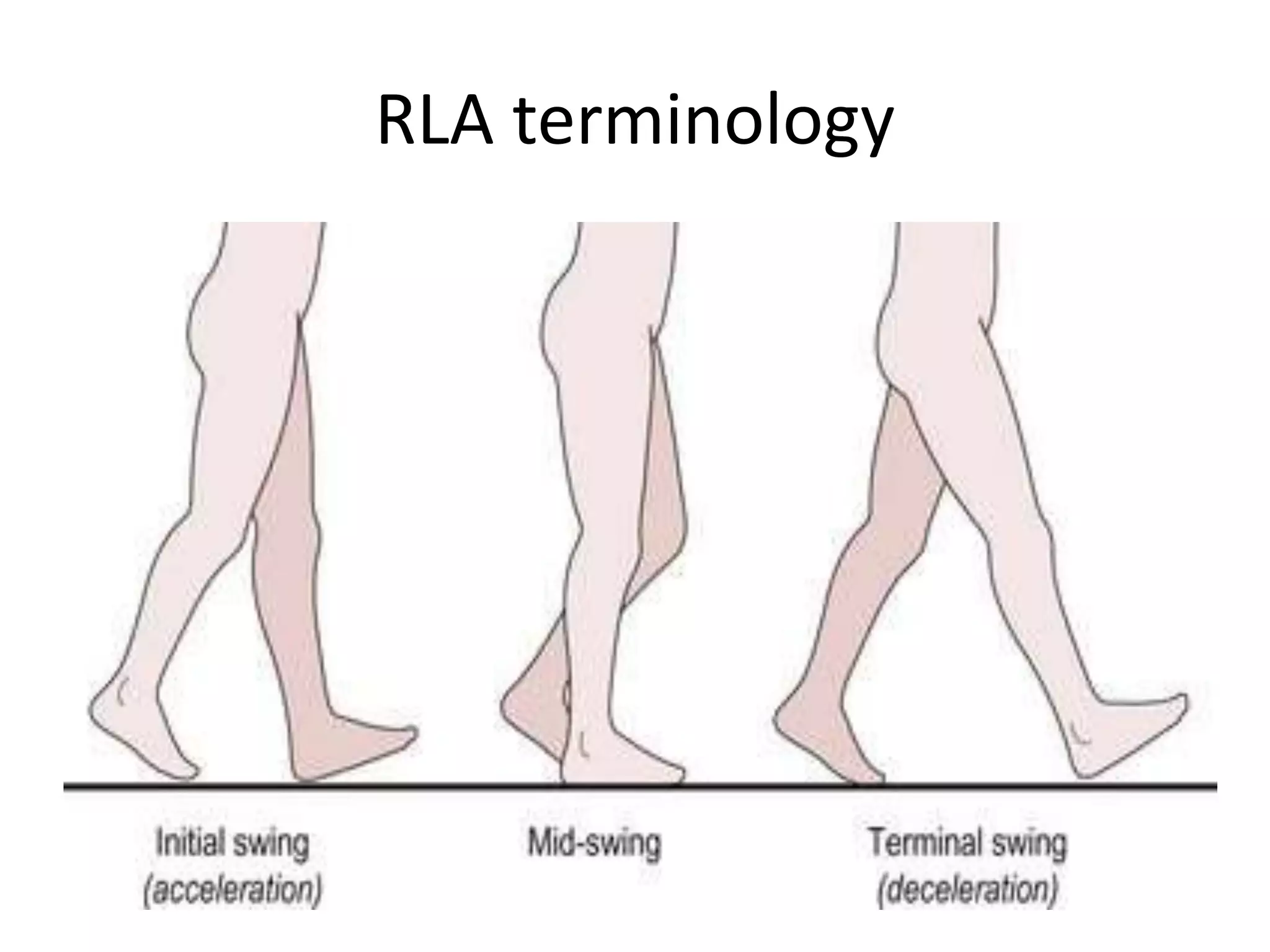 RLA terminology
 