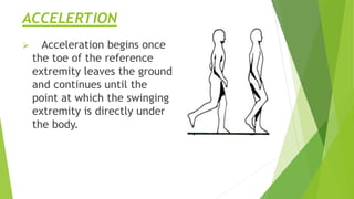 Standing Accelerations GAIT | PPTX