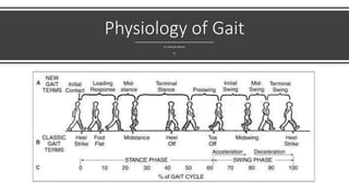 Physiology of Gait
Dr. Kholoud Allaham
R1
 