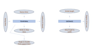 Cadence,temporal GAIT / GAIT CYCLE / PHASES OF GAIT / BIOMECHANICS | PPTX