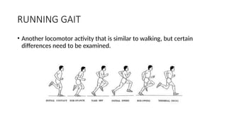 GAIT / GAIT CYCLE / PHASES OF GAIT / BIOMECHANICS | PPTX