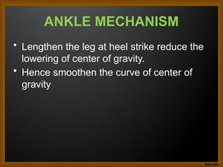 ANKLE MECHANISM
• Lengthen the leg at heel strike reduce the
lowering of center of gravity.
• Hence smoothen the curve of center of
gravity
 