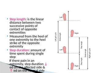 Kinetics and kinematics of gait cycle.pptx